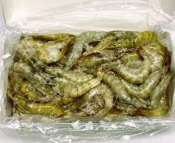 Mazzancolle Trop 40 50 Kg 2