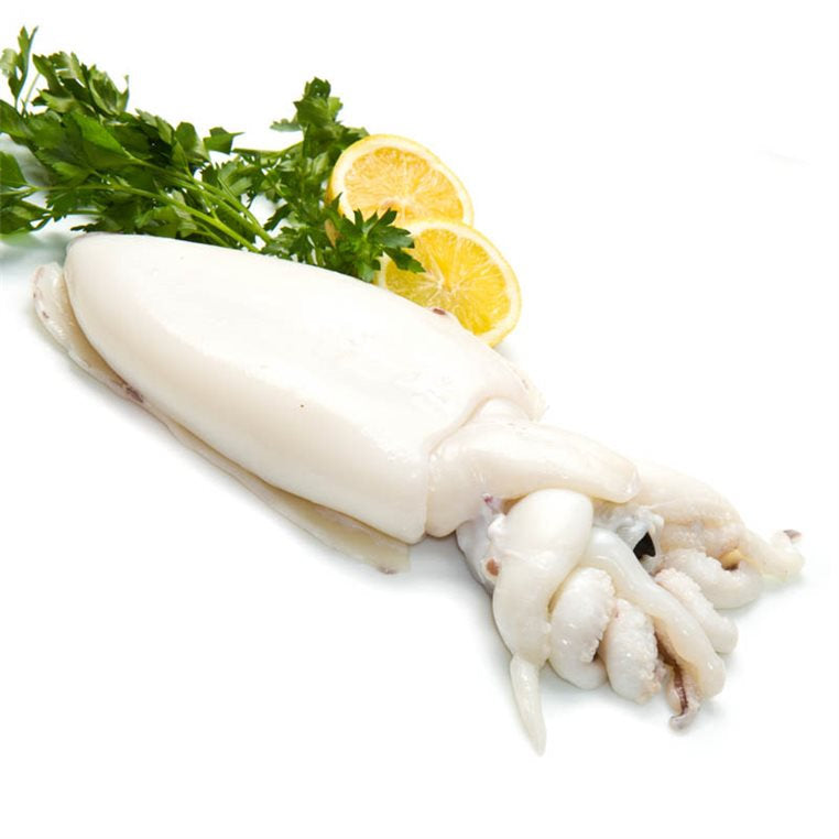 Seppia India U 1 Grande Pulita Al Kg