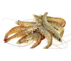 Mazzancolle Tropicale 30 40 Conf Kg 1 8